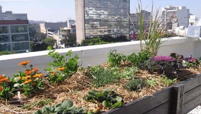 Cultivo urbano, produce hortalizas en espacios reducidos - El Nou Garden