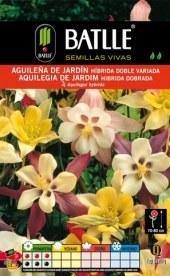 Aguileña de jardín - Aquilegia caerulea - Semillas - Batlle - El Nou Garden