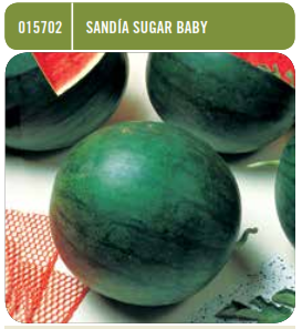 Semillas Sandia Sugar Baby de Batlle - Ferretería On Line