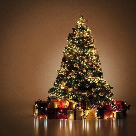 el nou garden online árboles de navidad abies abetos cedros pinsapos caucaso tradicional regalos