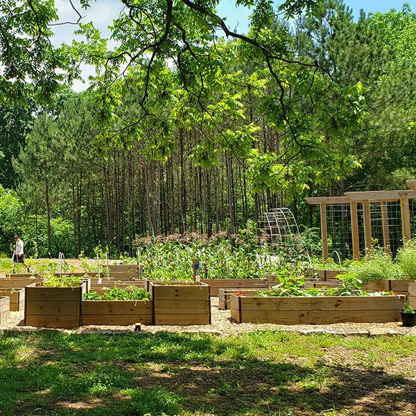 Food Forest (Jardinería forestal)