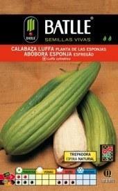 Calabaza Luffa planta de las esponjas - Luffa aegyptiaca - Semillas - Batlle - El Nou Garden