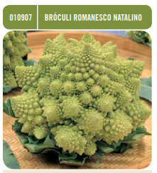 Bróculi romanesco Natalio - Brassica oleracea italica - Semillas - Batlle - El Nou Garden
