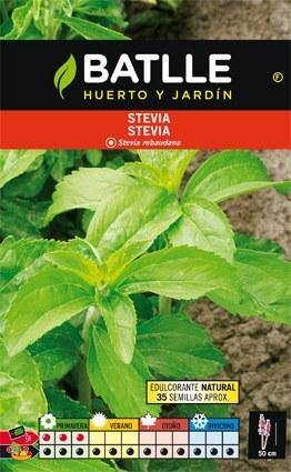 Estevia - Stevia rebaudiana - Semillas - Batlle - El Nou Garden