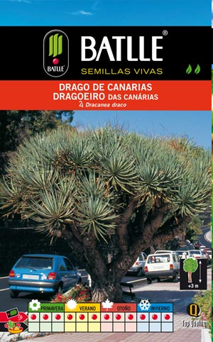 Drago de Canarias - Semillas - Batlle - El Nou Garden