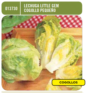 Semillas Lechuga romana Little Gem cogollo pequeño - Batlle