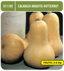 Calabaza Anquito - Butternut - Semillas - Batlle - El Nou Garden
