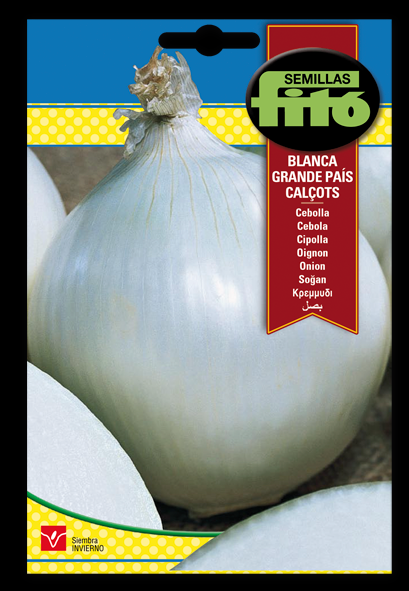 Cebolla blanca grande país Calçots - Allium cepa - Semillas - Fitó - El Nou Garden