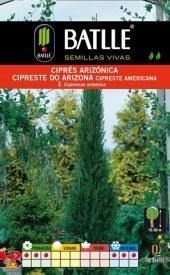Ciprés de Arizona - Cupressus arizonica - Semillas - Batlle - El Nou Garden