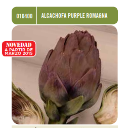 Alcachofa Purple Romagna - Semillas - Batlle - El Nou Garden