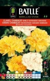 Clavel Chabaud doble estriado variado - Dianthus caryophyllus - Semillas - Batlle - El Nou Garden