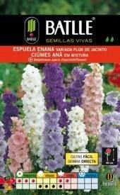 Espuela enana flor de jacinto - Semillas - El Nou Garden