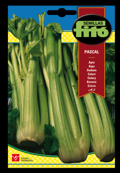 Apio Pascal - Apium graveolens - Semillas - Fitó