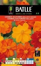 Cosmos sulfureo - Semillas -Batlle - El Nou Garden