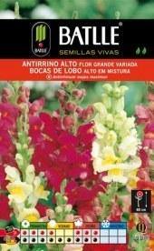 Boca de dragón alto flor grande variada - Antirrhinum majus - Semillas - Batlle - El Nou Garden