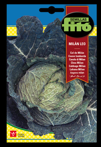 Col de Milán Leo - Brassica oleracea - Semillas - Fitó - El Nou Garden