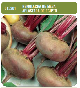Remolacha mesa aplastada de Egipto - Beta vulgaris - Semillas - Batlle