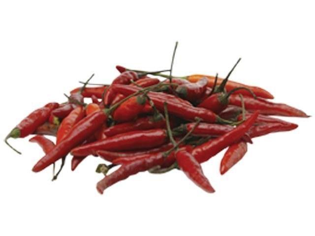 Chile Red Rawit - Capsicum annuum - Semillas naturales - El Nou Garden