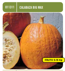Calabaza Big Max - Semillas - Batlle - El Nou Garden